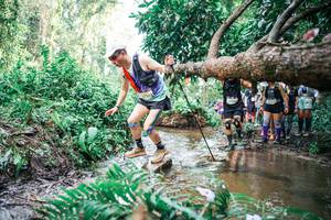 BIB: 
                            <button type="button" onclick="openModal(25514842)" class="btn btn-primary btn-sm float-right btn-popup" data-toggle="modal" data-target=".modal-high-quality">
                        <i class="fas fa-shopping-cart"></i> Add to Cart
                    </button>
                                            <button type="button" onclick="isThisMe(25514842, true)" class="btn btn-success btn-sm float-right btn-popup btn-isme hidden" data-toggle="tooltip" data-placement="bottom" title="นี่คือรูปของคุณใช่ไหม คลิกที่นี่เพื่อเอาเข้าอัลบั้ม">
                        <i class="fas fa-plus"></i> Add to album
                    </button>
                    <button type="button" onclick="isThisMe(25514842, false)" class="btn btn-warning btn-sm float-right btn-popup btn-isnotme hidden">
                        <i class="fas fa-ban"></i> Remove from album
                    </button>